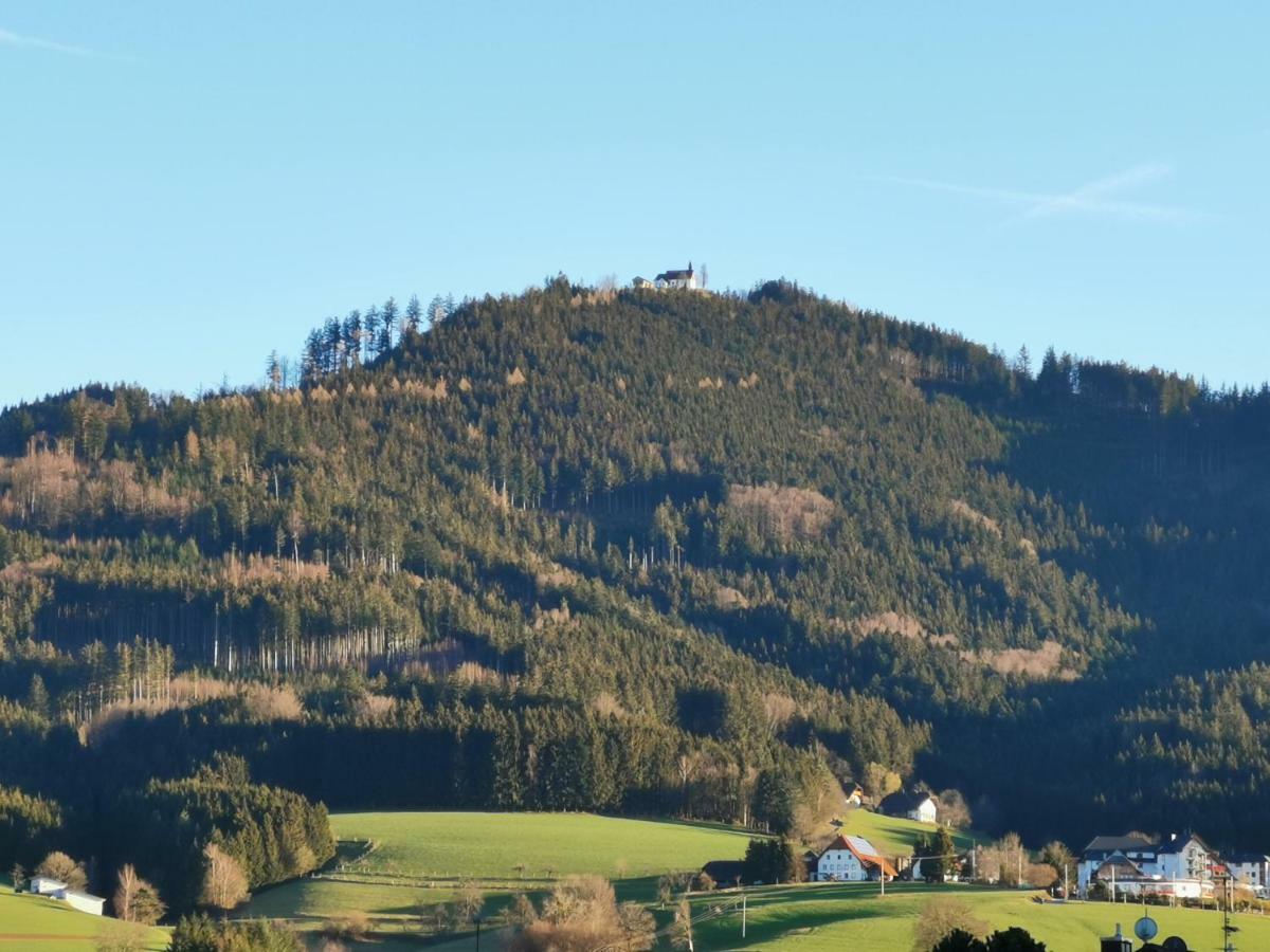 Modernes Appartement Schwarzwald Naehe Freiburg Winden im Elztal Exterior foto