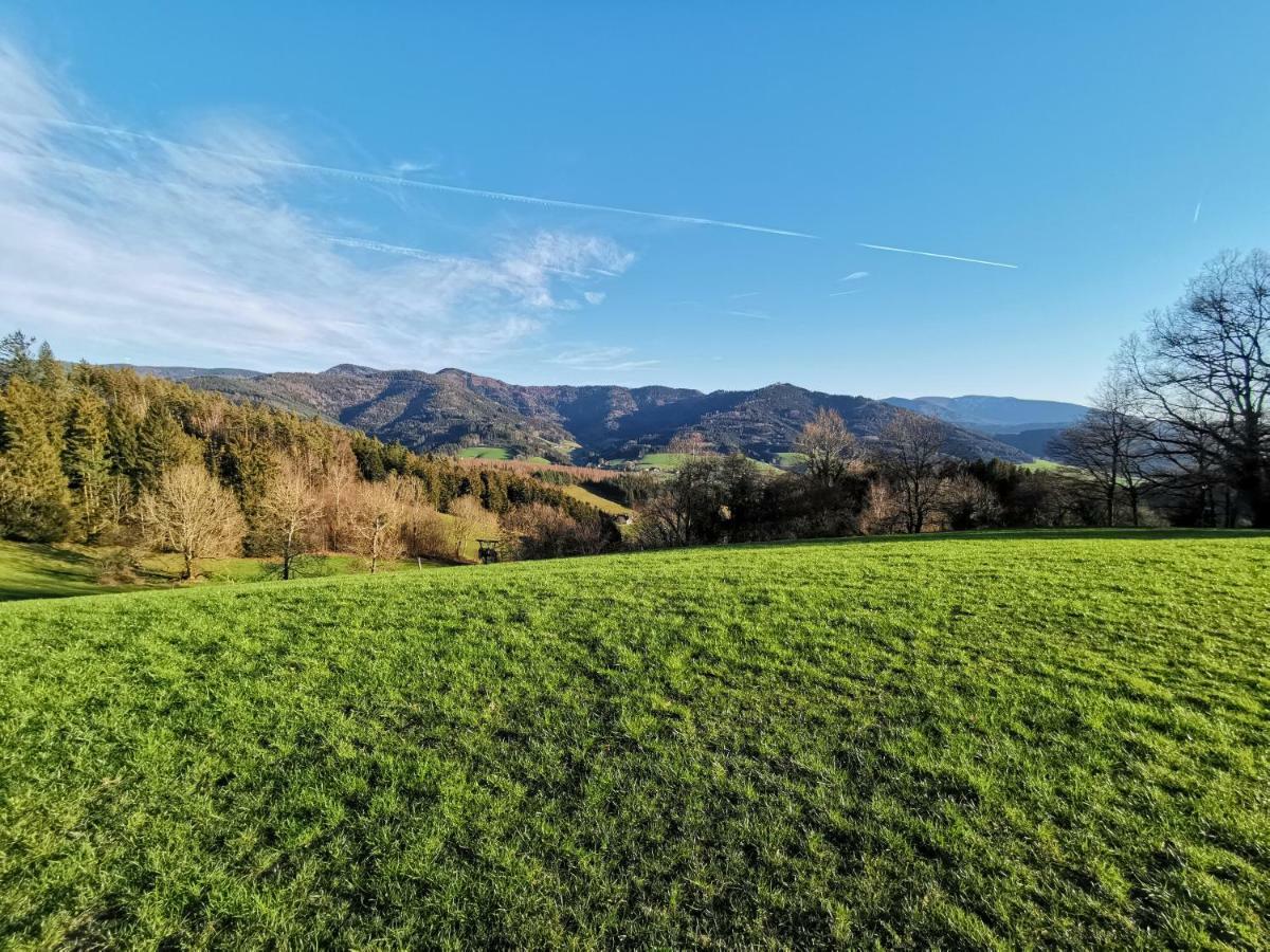 Modernes Appartement Schwarzwald Naehe Freiburg Winden im Elztal Exterior foto