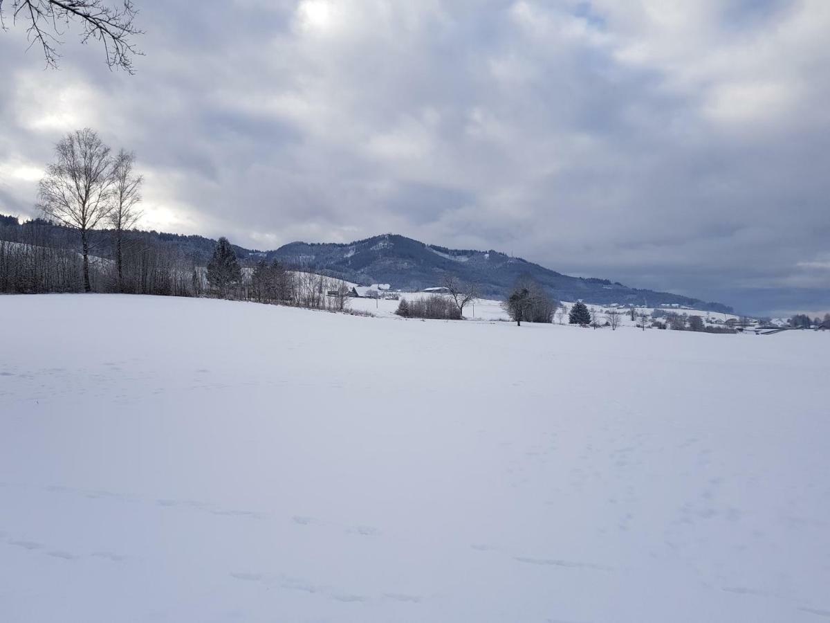 Modernes Appartement Schwarzwald Naehe Freiburg Winden im Elztal Exterior foto