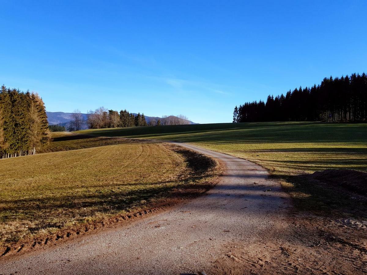 Modernes Appartement Schwarzwald Naehe Freiburg Winden im Elztal Exterior foto