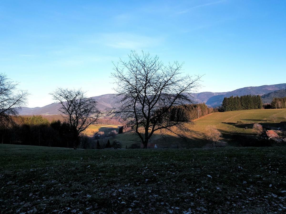 Modernes Appartement Schwarzwald Naehe Freiburg Winden im Elztal Exterior foto