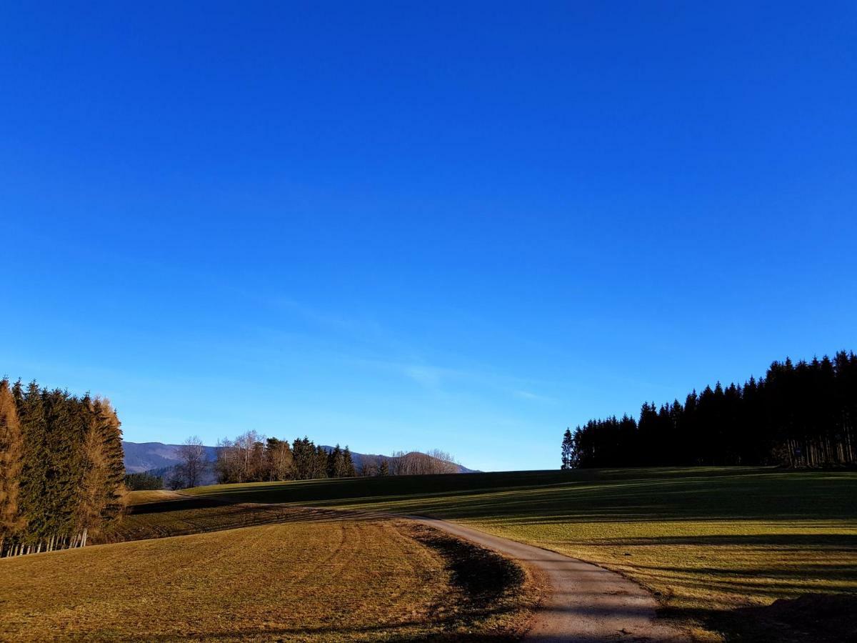 Modernes Appartement Schwarzwald Naehe Freiburg Winden im Elztal Exterior foto